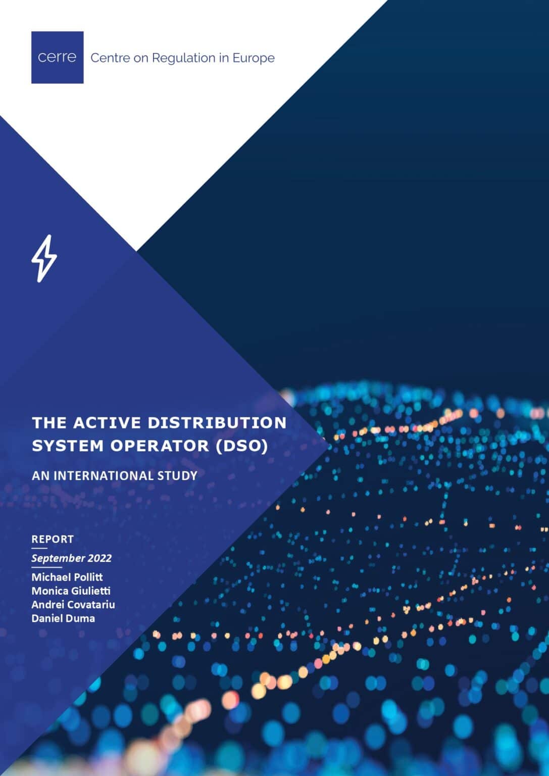 The Active Distribution System Operator (DSO) - CERRE